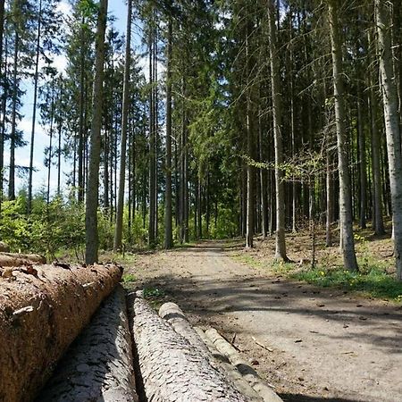 Seepark Kirchheim Ferienhaus Bei Anne Mit Sauna מראה חיצוני תמונה